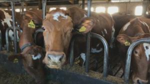 Yle Uutiset Häme: Yle Uutiset Häme 23-02-2018 klo 17-06: 23.02.2018 16.17