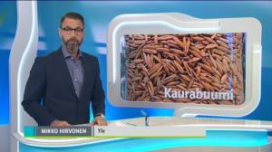 Yle Uutiset Häme: Yle Uutiset Häme 26-02-2018 Klo 18-22: 27.02.2018 02.36