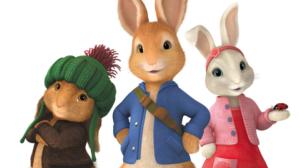 Petteri Kaniini (S): 27.02.2018 08.08