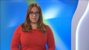 Yle Uutiset Pirkanmaa: Yle Uutiset Pirkanmaa 28-02-2018 Klo 18-22: 28.02.2018 17.43