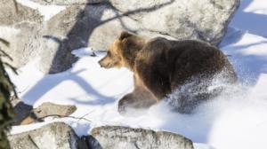 Yle Uutiset Uusimaa: Yle Uutiset Uusimaa 01-03-2018 klo 18-22: 01.03.2018 18.46