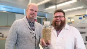 Yle Uutisluokka Triplet: Kauran huippusuosio yllätti tutkijat: 05.03.2018 09.48