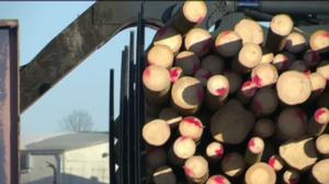 Yle Uutiset Häme: Yle Uutiset Häme 05-03-2018 klo 17-06: 05.03.2018 16.35