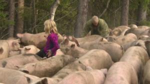 Norjaa ristiin rastiin: 07.03.2018 06.19