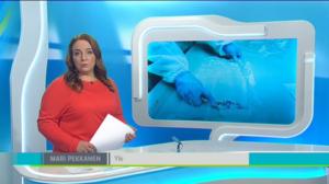 Yle Uutiset Pirkanmaa: Yle Uutiset Pirkanmaa 07-03-2018 Klo 18-22: 07.03.2018 17.41