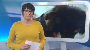 Yle Uutiset Uutis-Suomi: Yle Uutiset Uutis-Suomi 07-03-2018: 07.03.2018 19.44