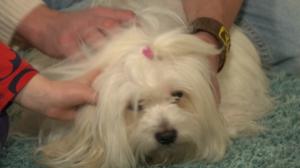 BUU-Jontti: Klara Maria och Frida!: 08.03.2018 13.48