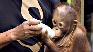 Elämäni eläimet: Eläinsairaalassa: 09.03.2018 16.00