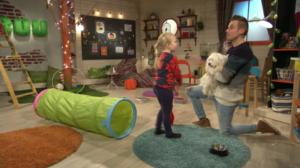 BUU-Jontti: Frida provar på agility!: 10.03.2018 06.05