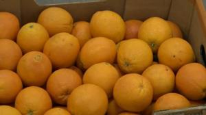 Luonto lähellä: Appelsiinin talvisato: 12.03.2018 09.06