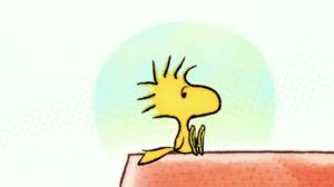 Tenavat erikoisjaksot (S): 12.03.2018 12.00