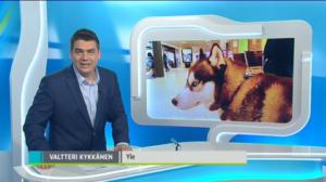 Yle Uutiset Pirkanmaa: Yle Uutiset Pirkanmaa 12-03-2018 Klo 18-22: 12.03.2018 17.48