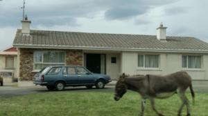 Moone Boy (S): 14.03.2018 20.30