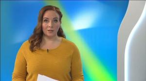 Yle Uutiset Itä-Suomi: Yle Uutiset Itä-Suomi 22-03-2018 Klo 17-06: 22.03.2018 16.39