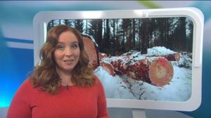 Yle Uutiset Uutis-Suomi: Yle Uutiset Uutis-Suomi 26-03-2018: 26.03.2018 19.00
