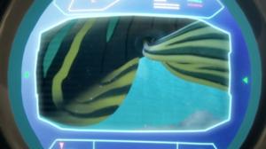 Merten syvyyksissä (7): 27.03.2018 08.26