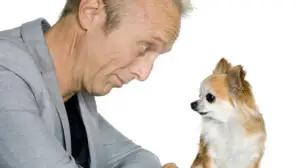 Mitä vain vuoksesi, lemmikkini: 28.03.2018 13.00