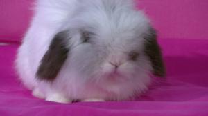 Puoli seitsemän: 02.04.2018 20.00