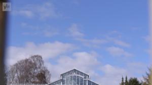 Yle Uutisluokka Triplet: Hyvän elämän tutkija: Jokainen on oman onnensa keskushyökkääjä: 03.04.2018 12.15