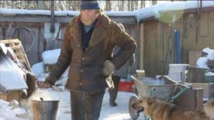 Yle Uutisluokka Triplet: Jalkapallon MM-kisat uhkaavat kulkukoirien henkeä Venäjällä: 05.04.2018 13.11