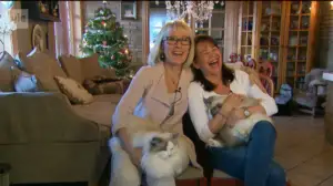 Mitä vain vuoksesi, lemmikkini (16): 11.04.2018 13.30