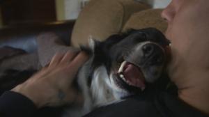 Norjaa ristiin rastiin: 14.04.2018 19.26