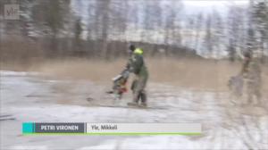 Yle Uutisluokka Triplet: Norpan pesälaskennoissa löytyi ennätysmäisen vähän kuolleita kuutteja: 22.04.2018 19.40