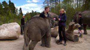 Elämäni eläimet: Eläinsairaalassa: 27.04.2018 15.00