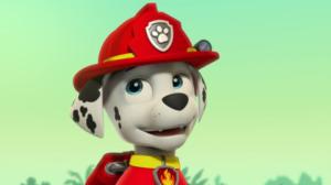 Ryhmä Hau (S): 20.05.2018 08.09