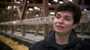 Kaikkea kaupan: 27.05.2018 10.31