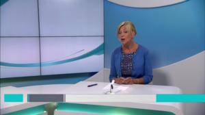 Yle Nyheter TV-nytt: 29.05.2018 17.55