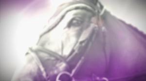 Ratsastuksen maailma: 03.06.2018 13.05