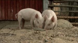 Possut ulos: 11.06.2018 07.21