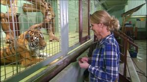 Elämäni eläimet: Eläinsairaalassa: 08.06.2018 14.30