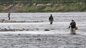 Luontoretkellä: Teno on paras lohijoki: 17.07.2018 13.00