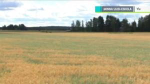 Yle Uutiset selkosuomeksi: 07.08.2018 15.05