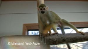 Eläintarha: 20.08.2018 17.51