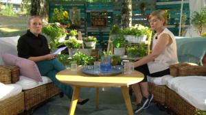 Tähtihetki: 17.08.2018 08.43