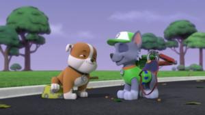 Pennut ja rock-tähti / Pennut pelastavat kotkan (S): 19.08.2018 07.58