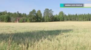Yle Uutiset selkosuomeksi: 22.08.2018 15.05