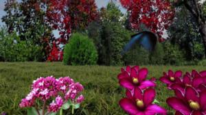 Iloa puutarhasta: 27.08.2018 12.00