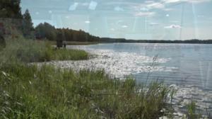 Luonto lähellä: 03.09.2018 09.03