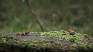 Ruohonjuuritasolla (S): 20.09.2018 18.54