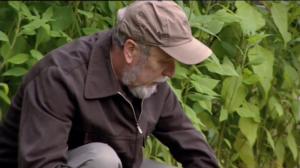 Milja ja möröjuhlat (S): 21.09.2018 18.00