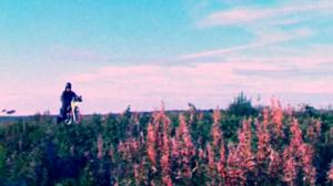 Rohkeus rakastaa: 18.09.2018 12.00