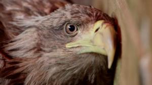 Norjaa ristiin rastiin: 23.09.2018 10.26