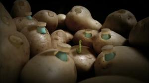 Ruohonjuuritasolla (S): 27.09.2018 18.54