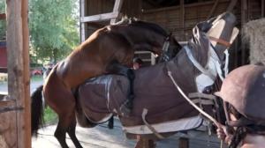 Luonto lähellä: 24.09.2018 11.13