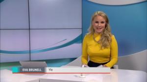 Yle Nyheter TV-nytt: 25.09.2018 17.55