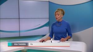 Yle Nyheter TV-nytt: 29.09.2018 17.55